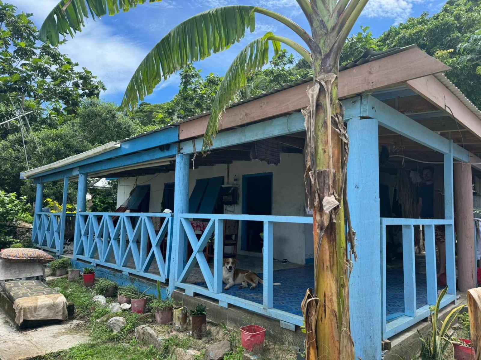 Lusis Homestay Lautoka Eksteriør billede