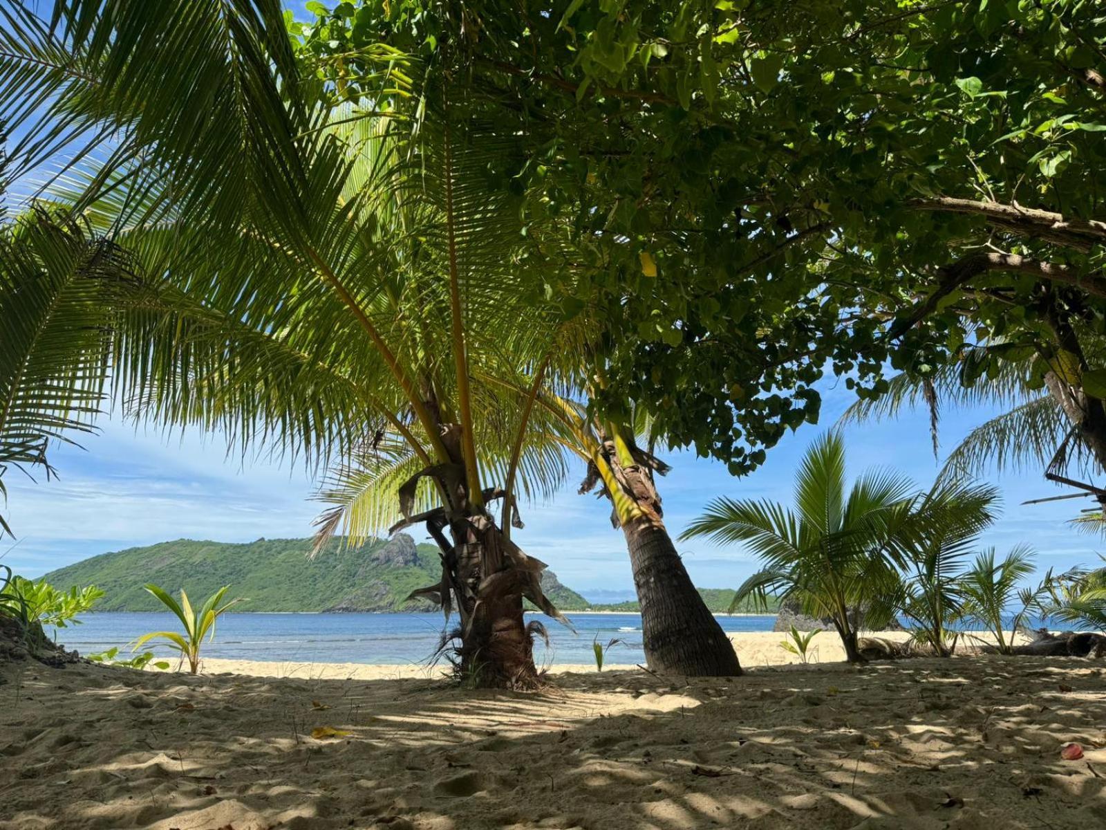 Lusis Homestay Lautoka Eksteriør billede